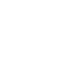 Carving Kunst - Uit hout gezaagde kunst